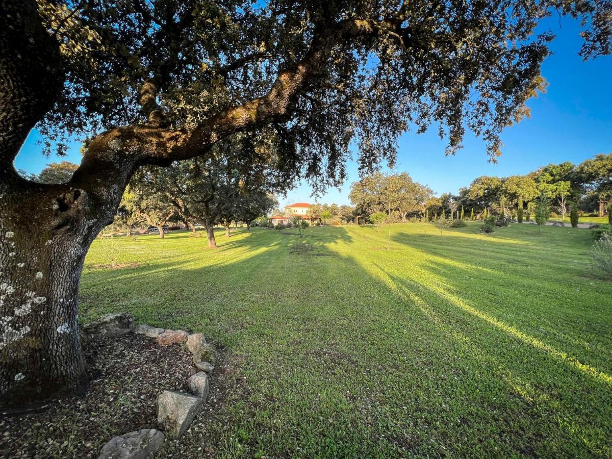 La Encina Guapa Casa Rural 20,000M2 De Intimidad Villa La Iglesuela Exterior photo