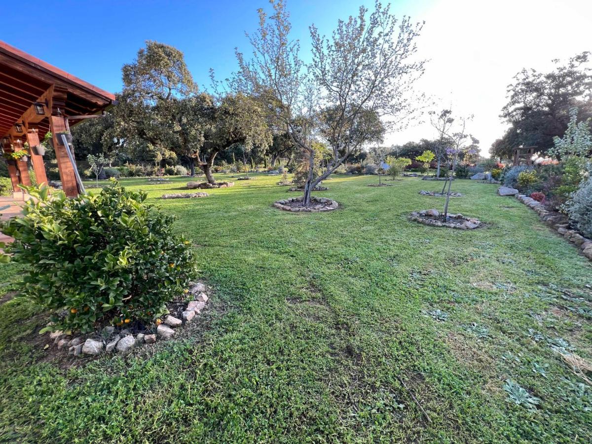 La Encina Guapa Casa Rural 20,000M2 De Intimidad Villa La Iglesuela Exterior photo